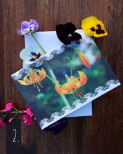 Load image into Gallery viewer, Wildflower Note Card Series