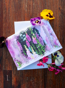 Wildflower Note Card Series